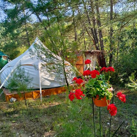 Vinsan Glamping & Wellness Centre Hotel Eleousa ภายนอก รูปภาพ