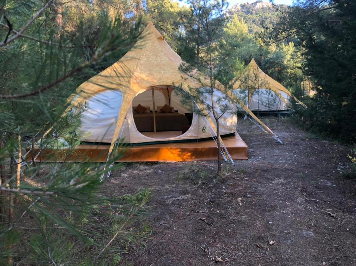 Vinsan Glamping & Wellness Centre Hotel Eleousa ภายนอก รูปภาพ