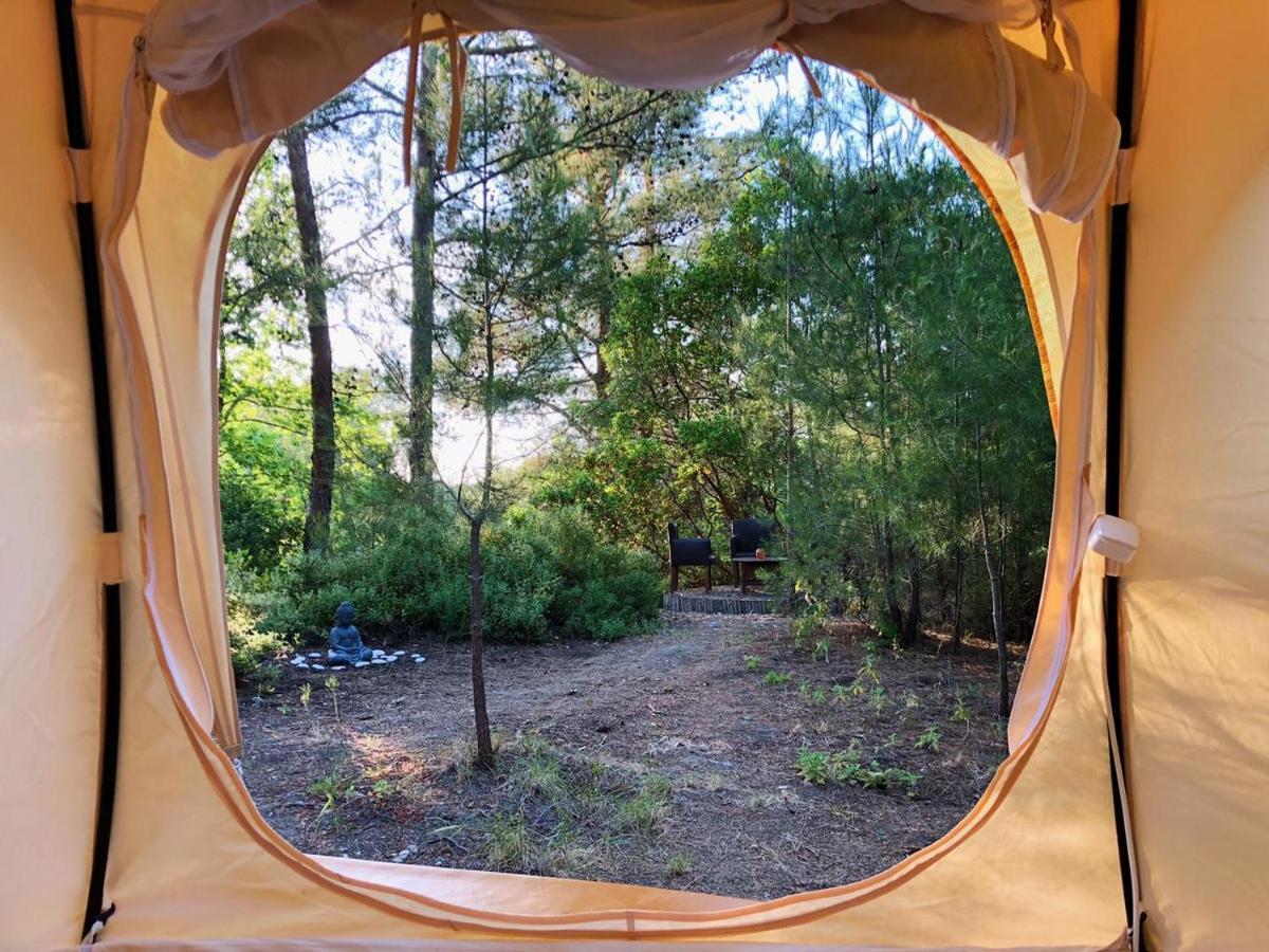 Vinsan Glamping & Wellness Centre Hotel Eleousa ภายนอก รูปภาพ