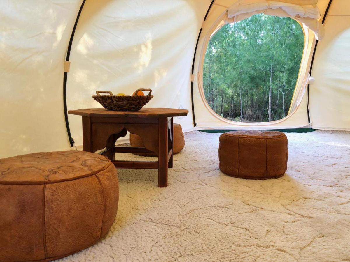 Vinsan Glamping & Wellness Centre Hotel Eleousa ภายนอก รูปภาพ