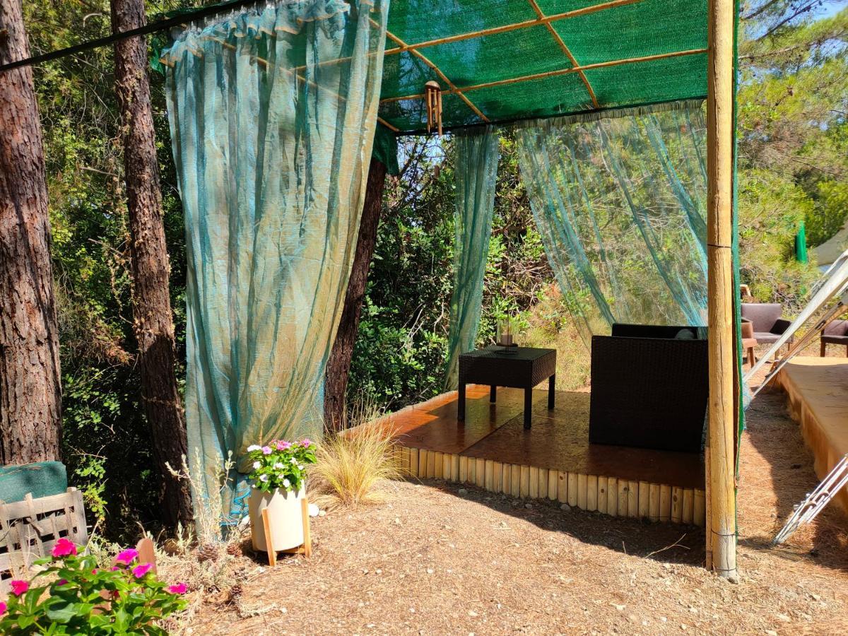 Vinsan Glamping & Wellness Centre Hotel Eleousa ภายนอก รูปภาพ