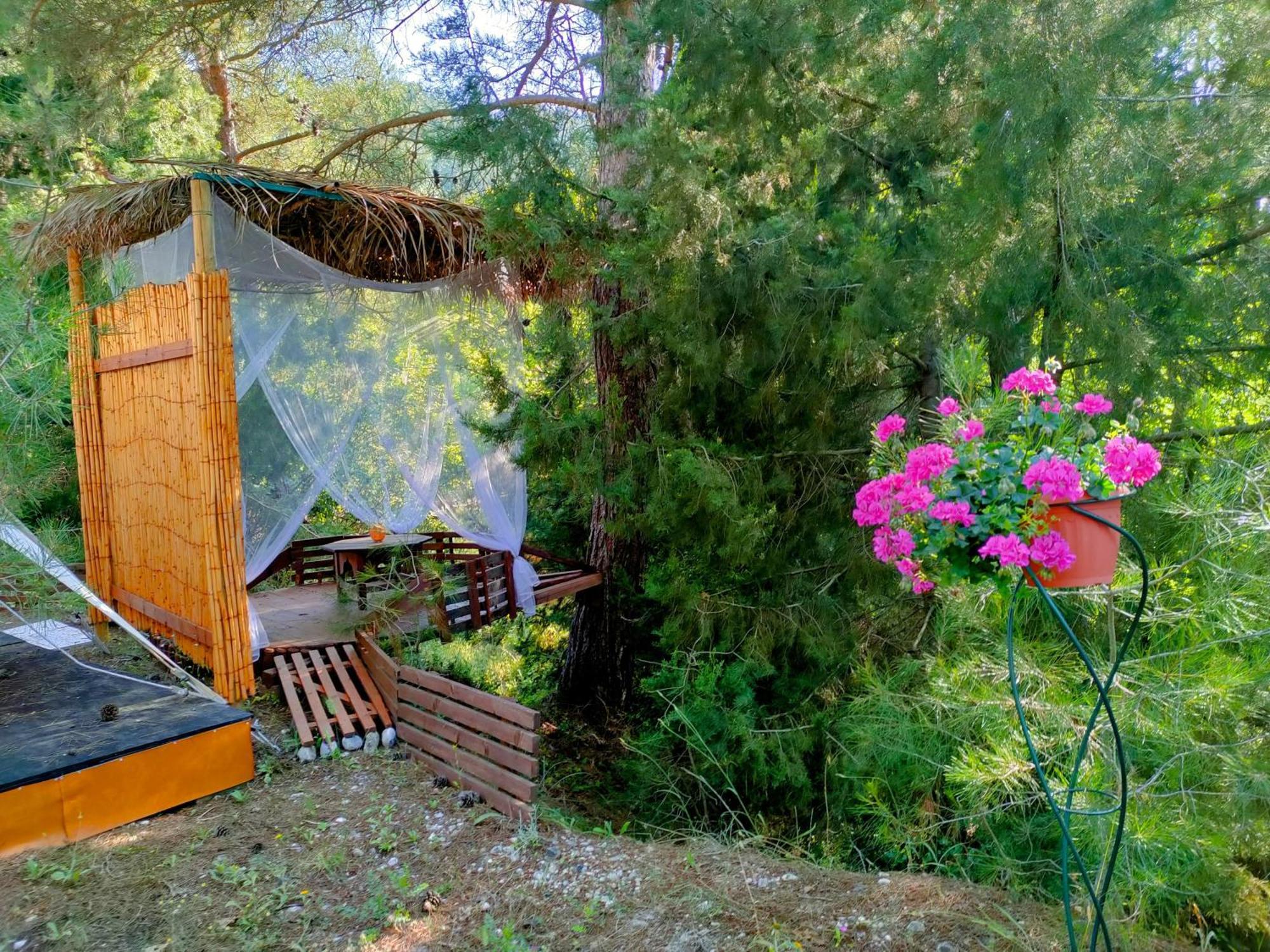 Vinsan Glamping & Wellness Centre Hotel Eleousa ภายนอก รูปภาพ